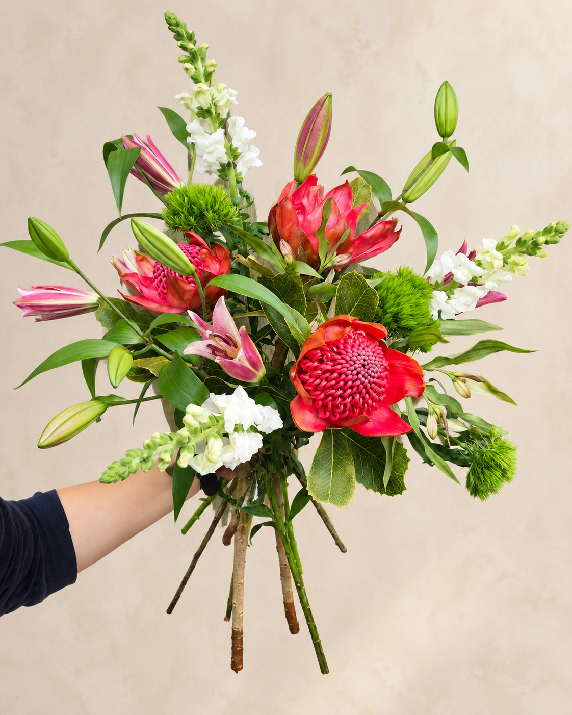 Hand-held Statement bouquet with red waratahs, pink lilies, white snapdragons and green foliage against an ivory background.