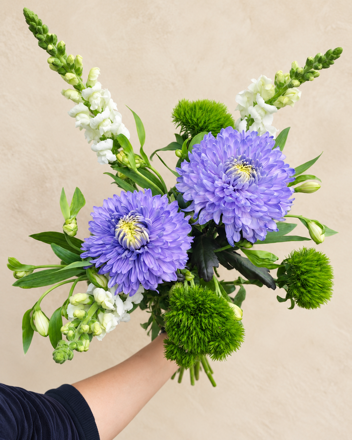 Hand-held Classic bouquet with purple chrysanthemums, white snapdragons and green foliage against an ivory background.